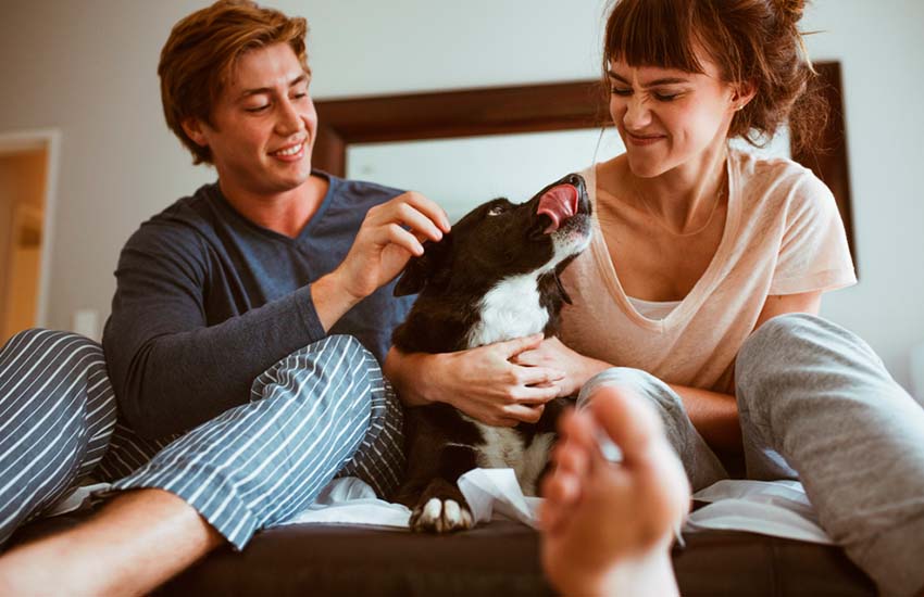 пара влюбленные отношения семья