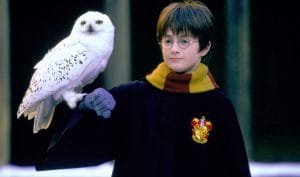 Гарри Поттер и принципы воспитания: 5 советов из детских книг