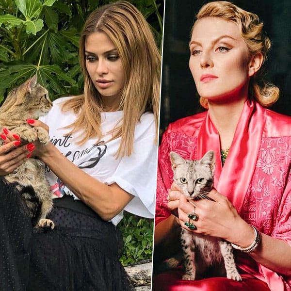 Кто сказал «мяу»: 10 котиков Инстаграма и их знаменитые хозяева