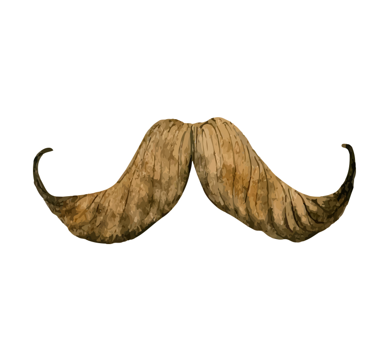 В какой стране живет ваш идеальный мужчина?