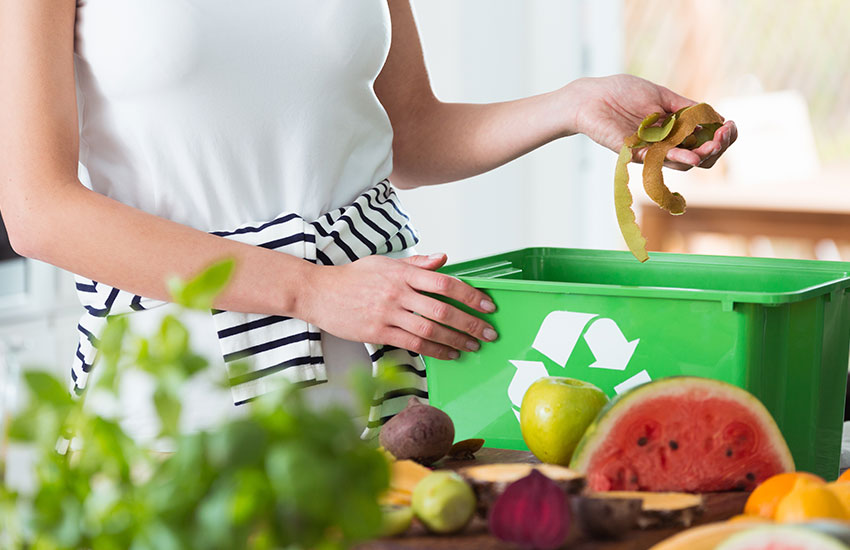 Zero Waste тренд экология Zero Waste тренд экология