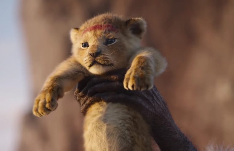 Король Лев фильм 2019 Дисней Король Лев фильм 2019 Дисней