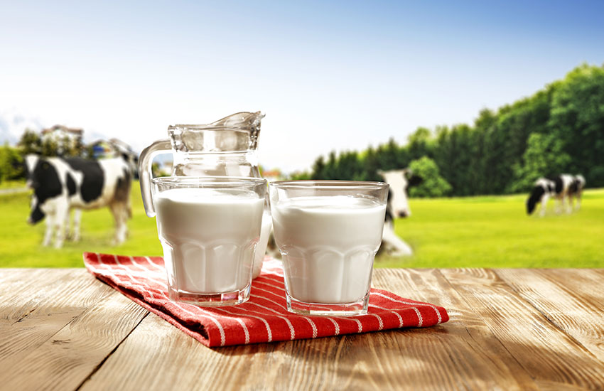 Фермерские продукты что это. Смотреть фото Фермерские продукты что это. Смотреть картинку Фермерские продукты что это. Картинка про Фермерские продукты что это. Фото Фермерские продукты что это