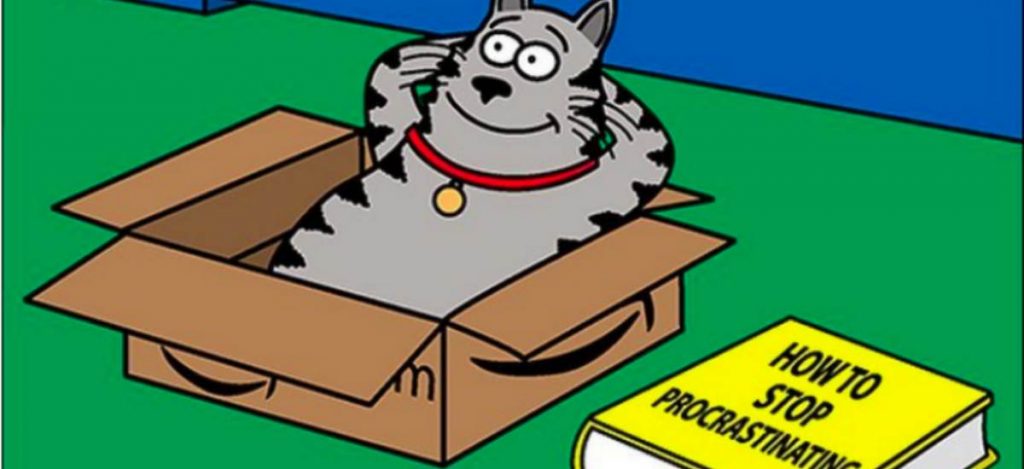 Что кошки ищут в Google и другие забавные комиксы от блогера из США