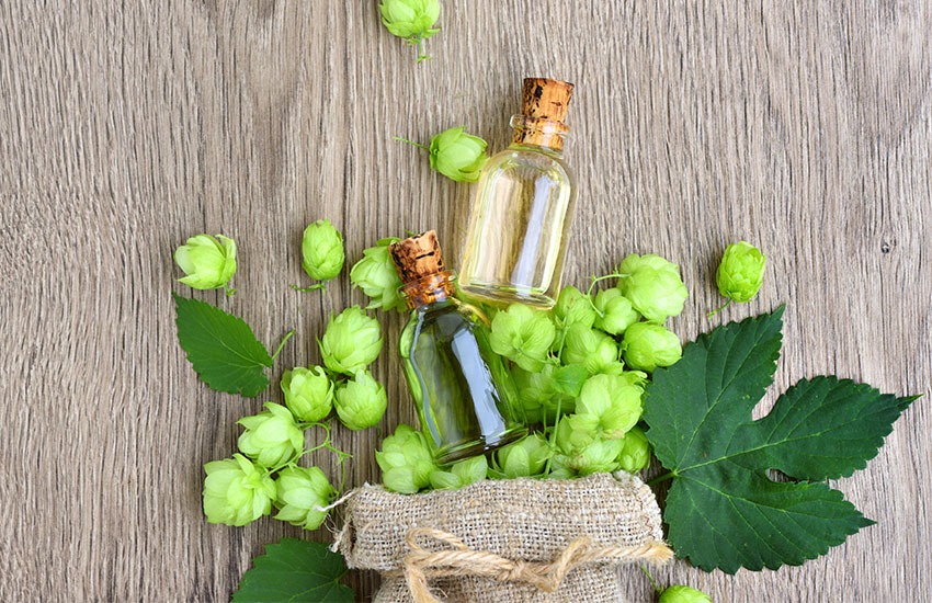 Опасная косметика маски для лица вредные ингредиенты Опасная косметика маски для лица вредные ингредиенты