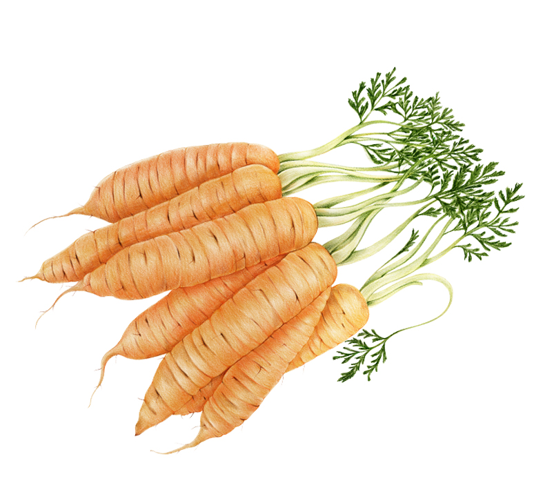 Какая диета вам подходит?