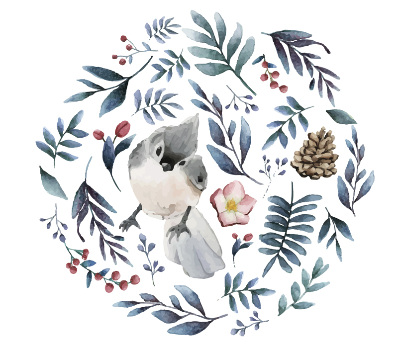 Какая ты птица?