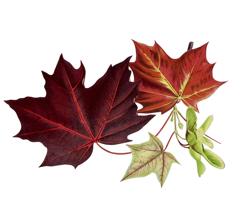 Какой тренд осени 2019 тебе подойдет?