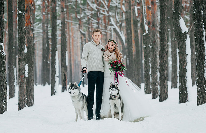 свадьба зимой зимняя свадьба невеста советы организатора