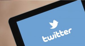Яйцо, котики и дерзкий утенок: Twitter подвел итоги года