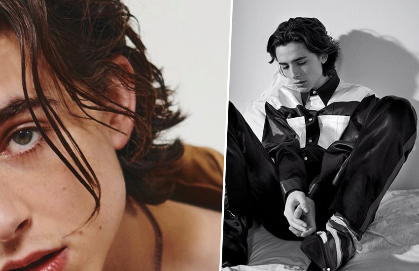 Боб Дилан Тимоти Шаламе Timothée Chalamet Fox Searchlight Going Electric Боб Дилан Тимоти Шаламе Timothée Chalamet Fox Searchlight Going Electric