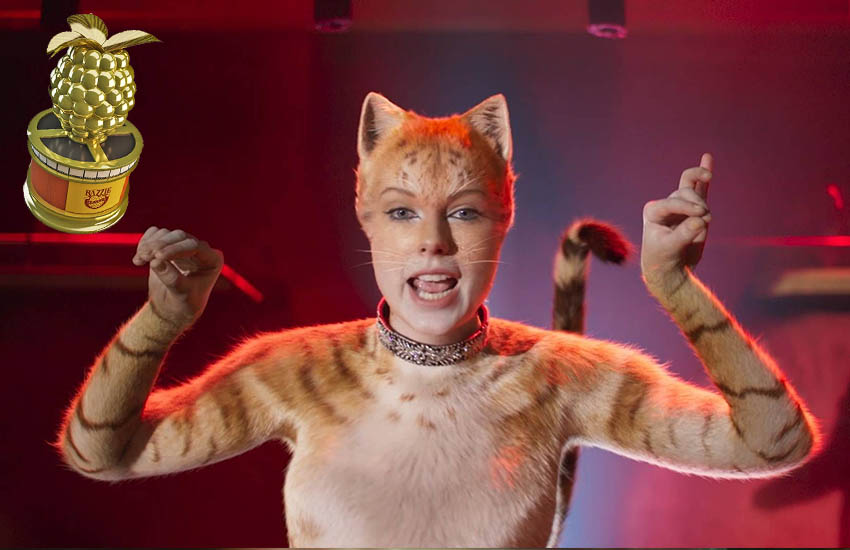 Кошки Кошки