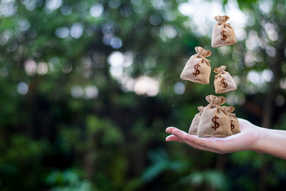 деньги накопления сбережения финансовая грамотность советы деньги накопления сбережения финансовая грамотность советы