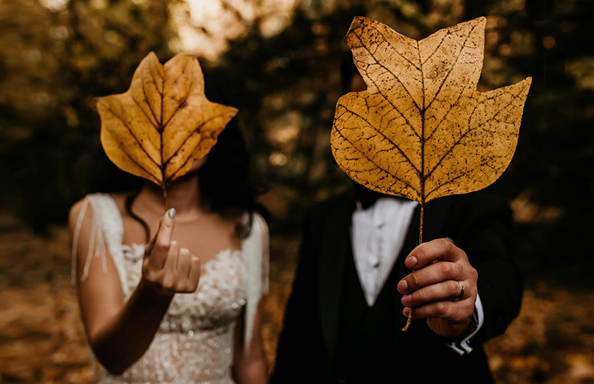 Осеннее вдохновение: стильные решения для свадьбы