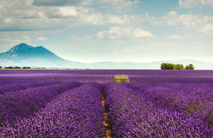 585 Золотой, свадьба 2020, идеи для свадьбы, выездная церемония, как выбрать место свадьбы