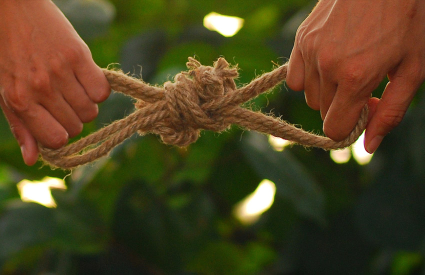 585 Золотой, свадьба, традиции, организация свадьбы, новые идеи для свадьбы