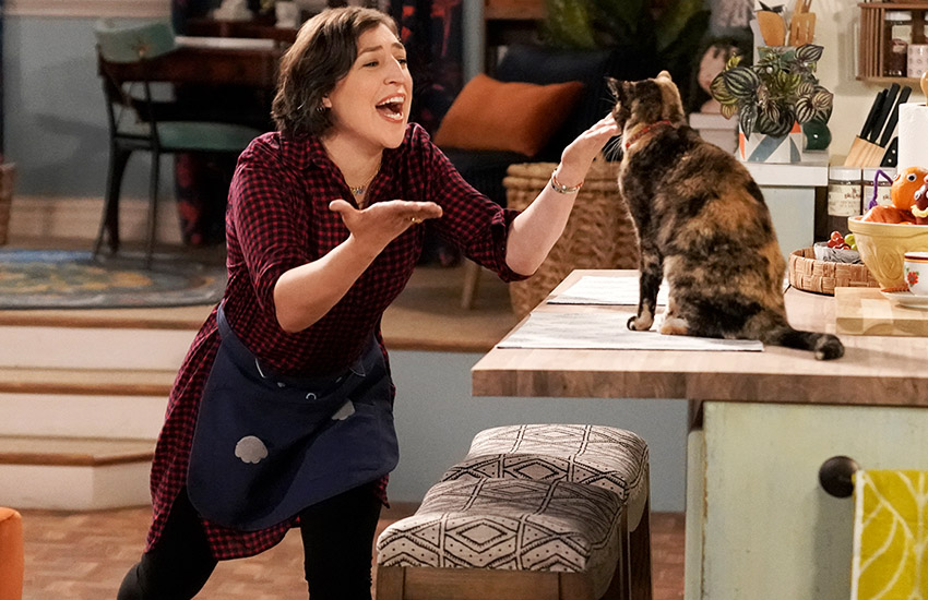 Зима, сериал, премьера сериала, новые сериалы, крутые сериалы, Зовите меня Кэт