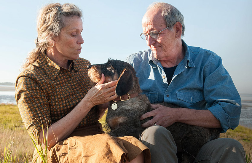 что знает оливия