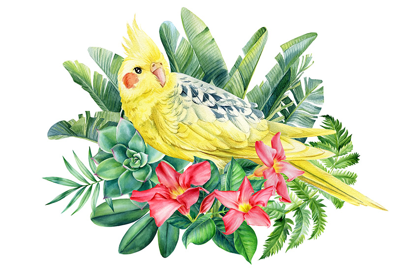 украшения, в тропическом стиле, настроение, лето, 585 золотой