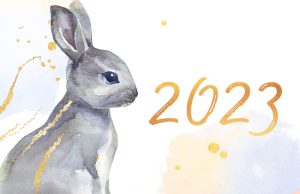 Китайский гороскоп 2023: что принесет год Кролика