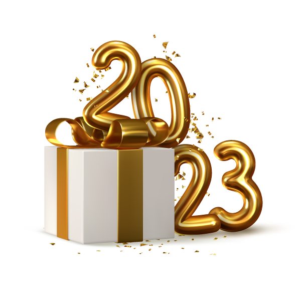 Как ты отметишь Новый год?