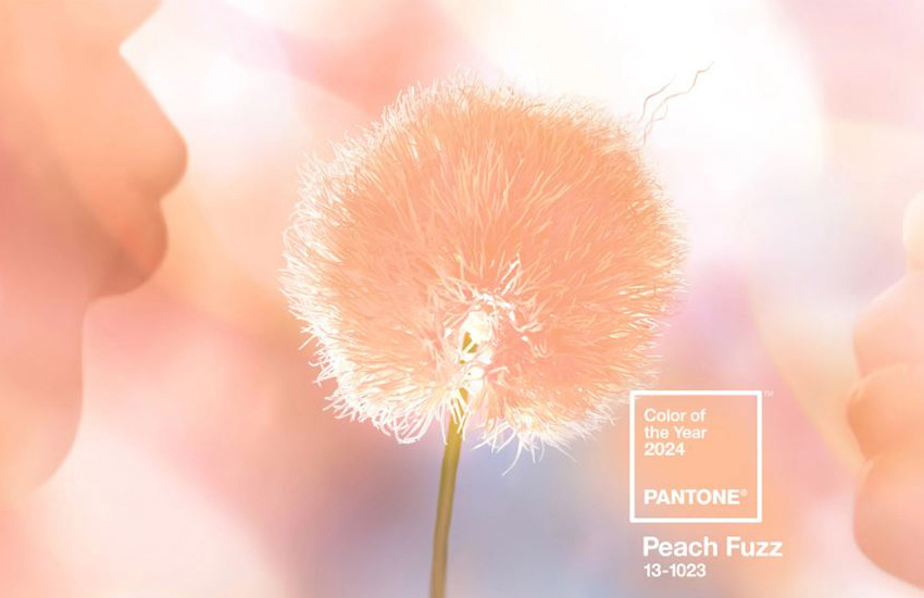 цвет года, главный цвет 2024, институт pantone, Peach Fuzz