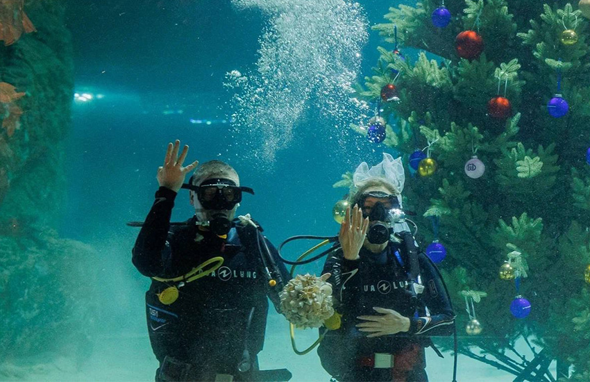подводная свадьба, москвариум, жених и невеста