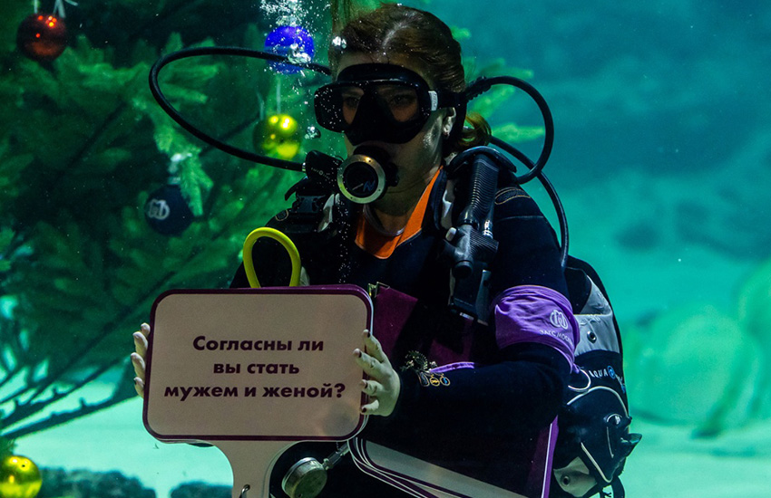 подводная свадьба, москвариум, жених и невеста